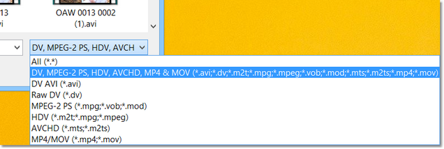 Supported file types in the player's File > Open dialog box